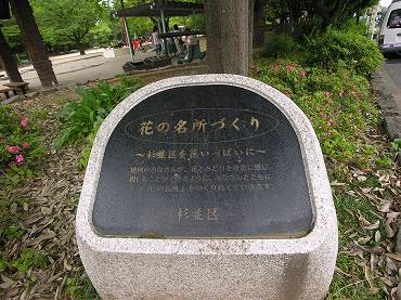 荻窪タウン情報　花の名所づくり