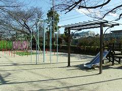 桜上水タウン情報　公園