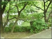 高円寺北新築一戸建て 馬橋公園