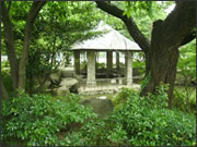 高円寺北新築一戸建て 馬橋公園