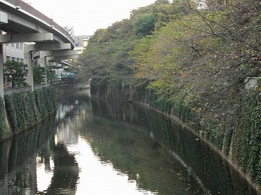 音羽の新築一戸建て　お花見の名所神田川