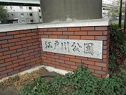 音羽の新築一戸建て　江戸川公園