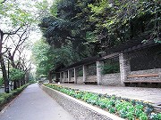 音羽の新築一戸建て　江戸川公園