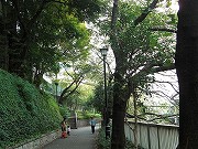 音羽の新築一戸建て　江戸川公園