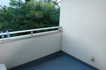中野区本町の中古一戸建て　ルーフバルコニー