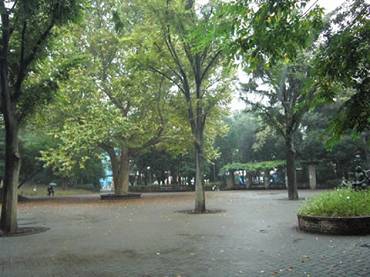 中野区本町の中古一戸建て　蚕糸の森公園