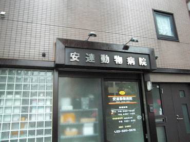 中野区本町の中古一戸建て　動物病院