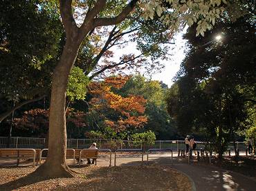 和田堀公園