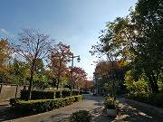蚕糸の森公園