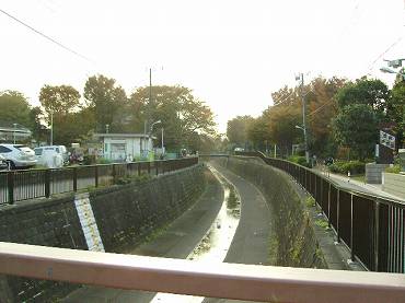 鷺ノ宮　妙正寺川沿い