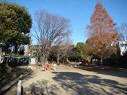 高円寺東公園