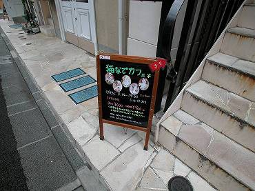 港区白金台　猫なでカフェ