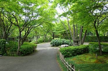 港区白金台　池田山公園