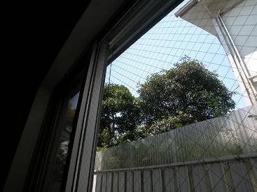 上高田新築一戸建て　窓の風景