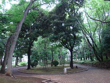 駒沢緑泉公園