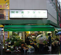 中野区上鷺宮・土地