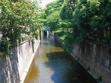 新宿区中落合の新築一戸建て　妙正寺川