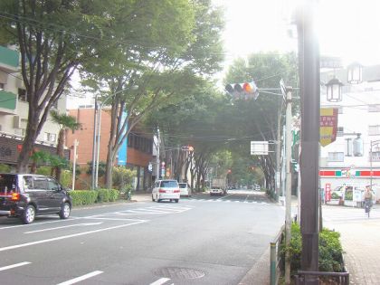 阿佐ヶ谷新築一戸建て　中杉通り