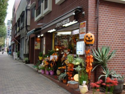 阿佐ヶ谷新築一戸建て　花屋