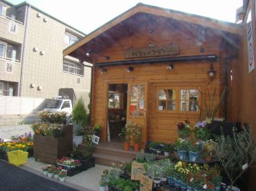 大和町中古一戸建て　バリューフラワー