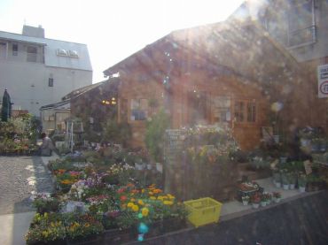 大和町中古一戸建て　バリューフラワー