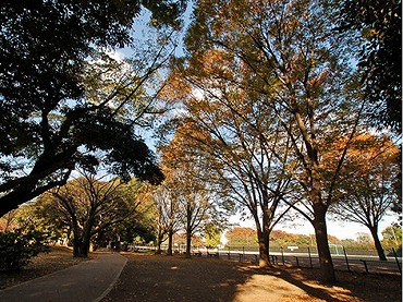 方南町中古マンション　公園