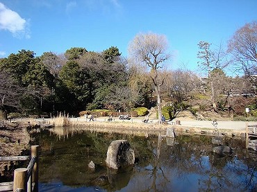 江古田新築一戸建て　公園