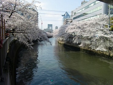 西五反田新築一戸建て　目黒川