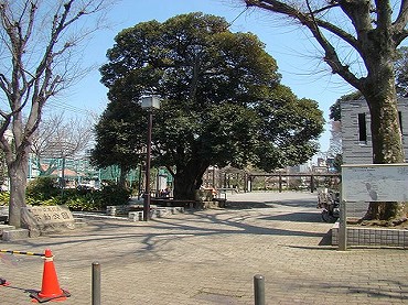 西五反田新築一戸建て　不動公園