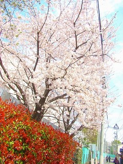 宮前新築一戸建て　SEIYU