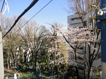中台新築一戸建て　2階からの眺望