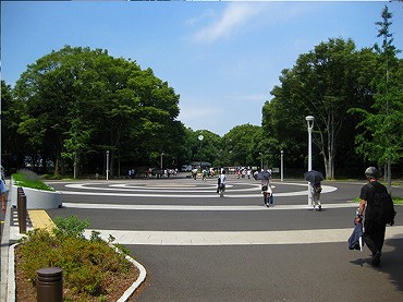 千駄ヶ谷新築一戸建て　代々木公園