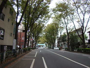 阿佐ヶ谷新築一戸建　キッチン