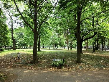 新宿区大久保新築一戸建て　戸山公園：現地から450ｍ