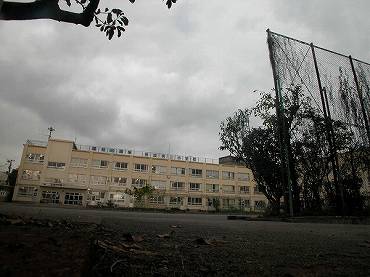 中野区中野新築一戸建て　桃園第二小学校：現地から250ｍ